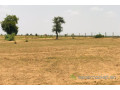 terrain-de-8-hectares-vers-touba-toul-small-2
