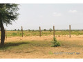 terrain-de-8-hectares-vers-touba-toul-small-0