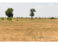 terrain-de-8-hectares-vers-touba-toul-small-1