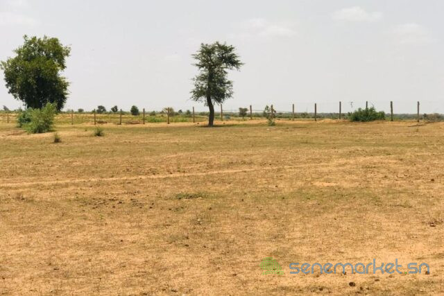 terrain-de-8-hectares-vers-touba-toul-big-2