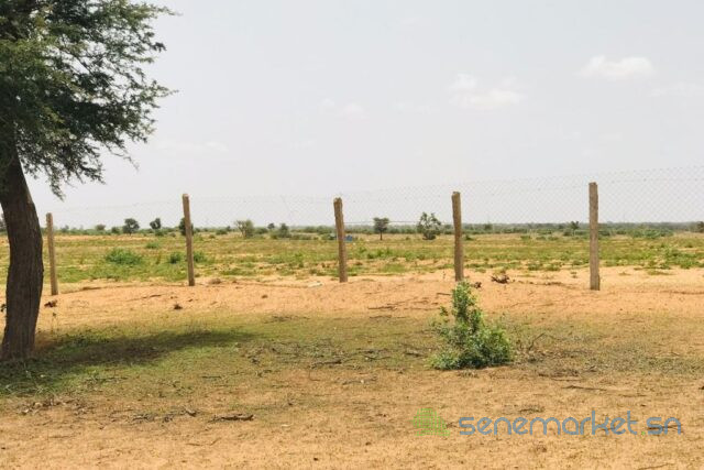 terrain-de-8-hectares-vers-touba-toul-big-0