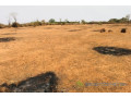 terrain-de-8343-m2-vers-keur-moussa-small-0