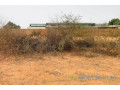 terrain-de-8343-m2-vers-keur-moussa-small-2