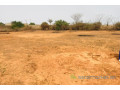 terrain-de-8343-m2-vers-keur-moussa-small-1