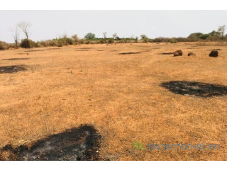 Terrain de 8343 m² vers Keur Moussa