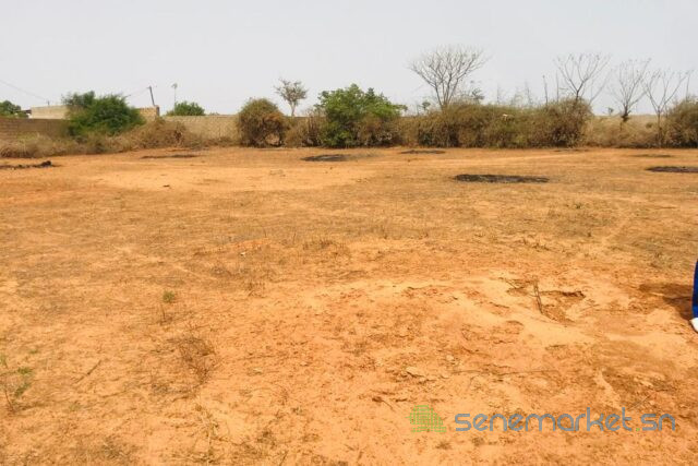 terrain-de-8343-m2-vers-keur-moussa-big-1