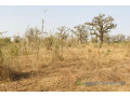 terrain-de-8472-m2-vers-cherif-lo-small-1