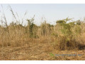 terrain-de-8472-m2-vers-cherif-lo-small-0