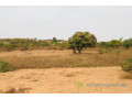 terrain-de-8761-m2-vers-diass-small-0