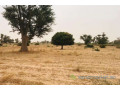 terrain-de-8771-m2-vers-malicounda-small-0