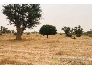 Terrain de 8771 m² vers Malicounda