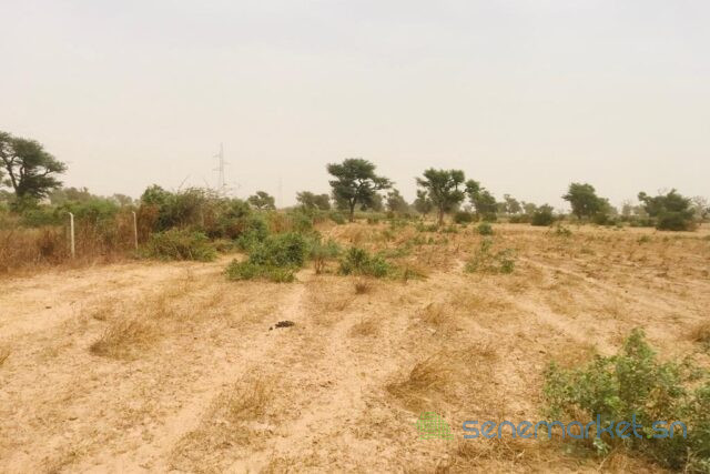 terrain-de-8771-m2-vers-malicounda-big-1