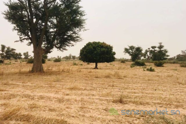 terrain-de-8771-m2-vers-malicounda-big-2