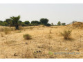 terrain-de-8997-m2-vers-fimela-small-0