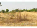 terrain-de-8997-m2-vers-fimela-small-2