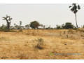 terrain-de-8997-m2-vers-fimela-small-1