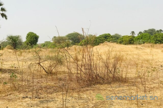 terrain-de-8997-m2-vers-fimela-big-2