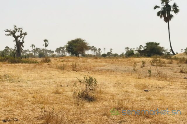 terrain-de-8997-m2-vers-fimela-big-1