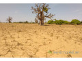 terrain-de-9-942-m2-vers-sandiara-small-1