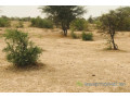 terrain-de-925-hectares-vers-keur-samba-kane-small-0