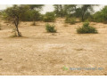 terrain-de-925-hectares-vers-keur-samba-kane-small-1