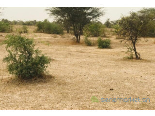 Terrain de 9,25 hectares vers Keur Samba Kane