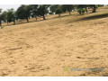 terrain-de-9070-m2-vers-touba-toul-small-2