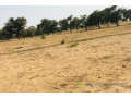 terrain-de-9070-m2-vers-touba-toul-small-1