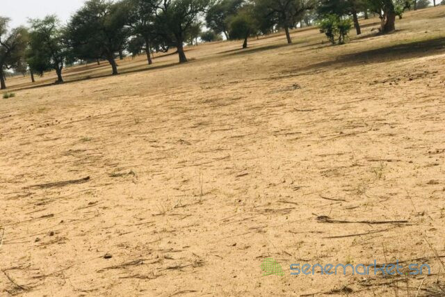 terrain-de-9070-m2-vers-touba-toul-big-2