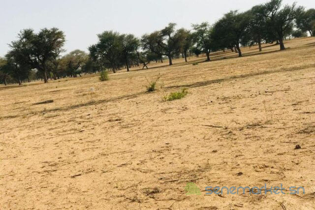 terrain-de-9070-m2-vers-touba-toul-big-1