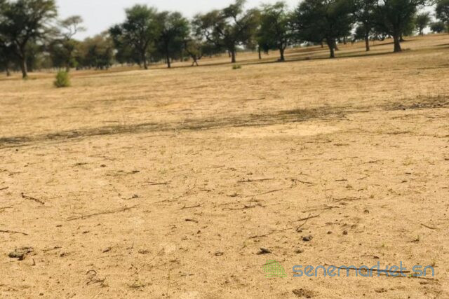 terrain-de-9070-m2-vers-touba-toul-big-0