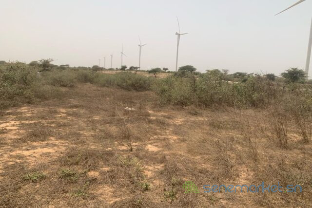 terrain-de-9276-m2-vers-taiba-ndiaye-big-2