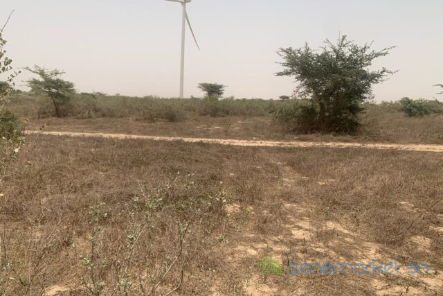 terrain-de-9276-m2-vers-taiba-ndiaye-big-1