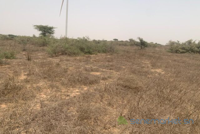 terrain-de-9276-m2-vers-taiba-ndiaye-big-0
