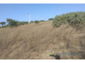 terrain-de-9706-m2-vers-taiba-ndiaye-small-1