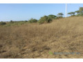 terrain-de-9706-m2-vers-taiba-ndiaye-small-0