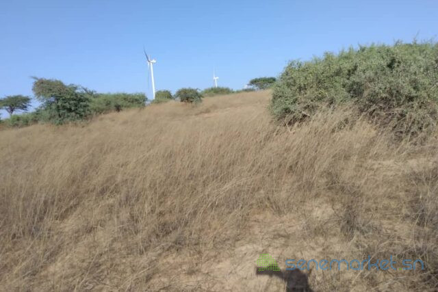 terrain-de-9706-m2-vers-taiba-ndiaye-big-1