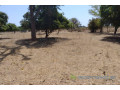 verger-agricole-de-107-hectare-vers-sandiara-small-2
