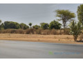 verger-agricole-de-107-hectare-vers-sandiara-small-1
