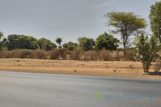 verger-agricole-de-107-hectare-vers-sandiara-big-1
