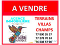vente-de-terrains-small-0