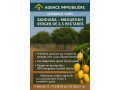 vente-de-terrains-small-2