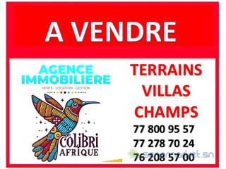 Vente de terrains