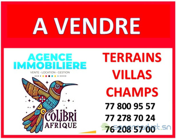 vente-de-terrains-big-0