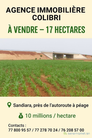vente-de-terrains-big-1