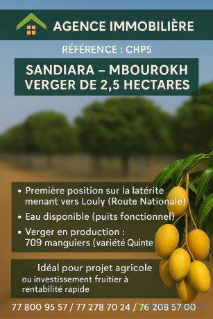 vente-de-terrains-big-2