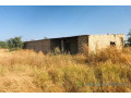 verger-agricole-de-209-hectares-vers-nguekhokh-small-1