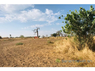 Verger Agricole de 2,09 hectares vers Nguékhokh