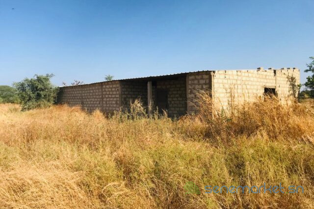 verger-agricole-de-209-hectares-vers-nguekhokh-big-1