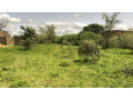 terrain-de-225-m2-a-gandigal-senegal-small-2